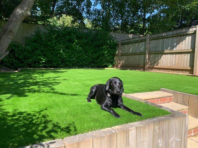 Bovey Tracey Easi-Pet